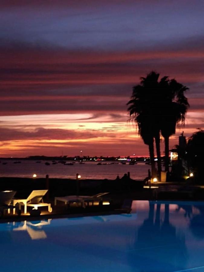 Porto Antigo - Charming & Peaceful Apartment Overlooking Pool And Sea Santa Maria Ngoại thất bức ảnh